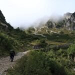 TRAGEDIJA NA RUMIJI: Muškarac preminuo tokom planinarenja, telo evakuisano helikopterom