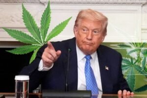 TRAMP DONEO ODLUKU O PRIMENI KANABISA: Ovo će iznenaditi sve
