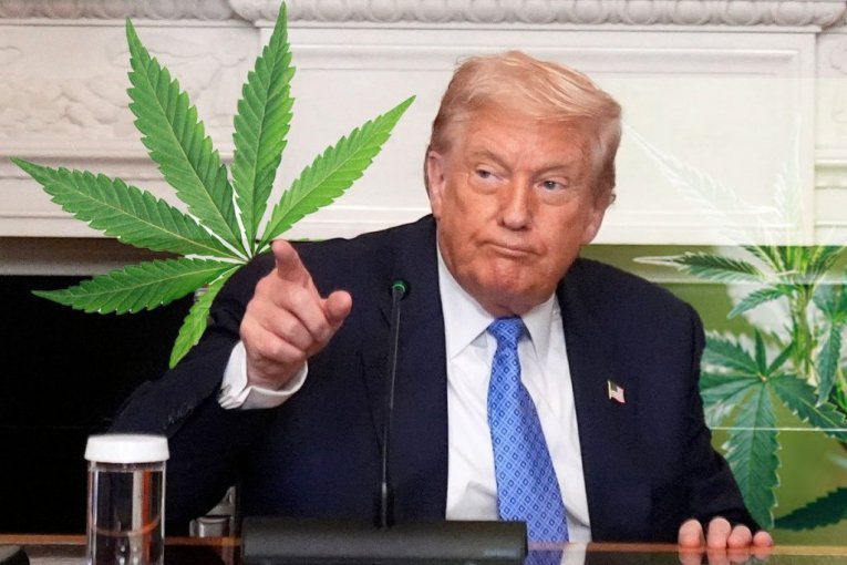 TRAMP DONEO ODLUKU O PRIMENI KANABISA: Ovo će iznenaditi sve