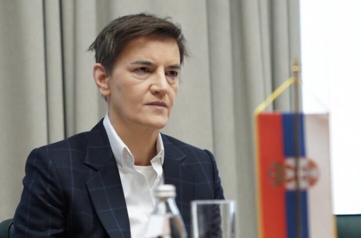 BRNABIĆEVA PATOSIRALA RADOVANOVIĆA! Tvrdio da je sve primenjeno, ona počela da čita rečenicu po rečenicu i da ga ubija u pojam!