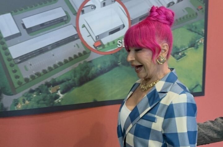 EVO ŠTA SE DOGODILO SA ZORICOM BRUNCLIK U PROGRAMU UŽIVO! Vanredna situacija pred kamerama, Pink reagovao zbog nepredviđenih okolnosti!
