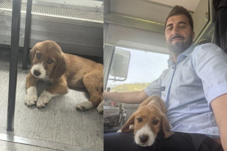 MILAN I MILA: Priča o mašinovođi Milanu Živadinoviću koji je spasao štene sa šina i udomio ga