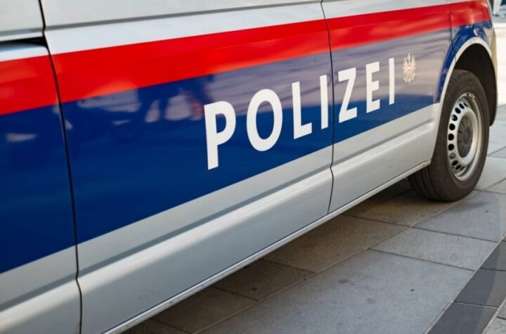 MLADIĆ (28) IZ ŽITORAĐE SE UTOPIO U DUNAVU! Stric molio Luku da ne ide na reku, on ga nije poslušao!