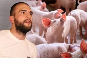 OVO JE PRAVO LICE VELJKA RAŽNATOVIĆA: Progovorili radnici s njegove farme svinja!