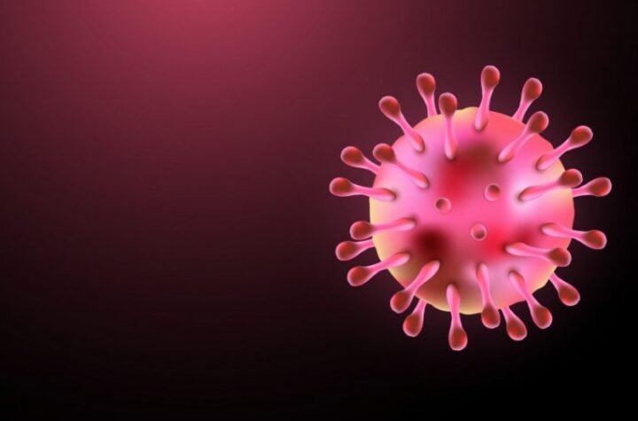 PANIKA U SVETU ZBOG BOLESTI 40 PUTA SMRTONOSNIJE OD KOVID-19! Da li je hantavirus Gejtsova bolest X? Već nam je spremio vakcine!
