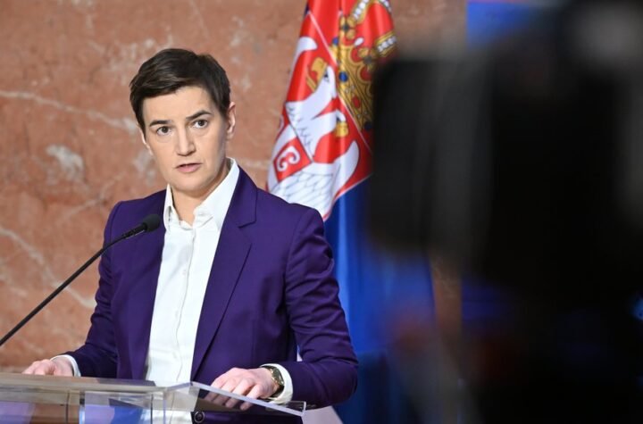 BRNABIĆ ODJAVILA ŠREDERA: Koga briga šta vi dočekujete i ko i šta vam daje pravo da bilo šta zahtevate od Srbije? (FOTO)