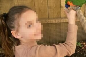 MUK U SUDNICI NAKON NJEGOVIH REČI! Isplivali novi detalji ubistva devojčice (9), javnost u šoku