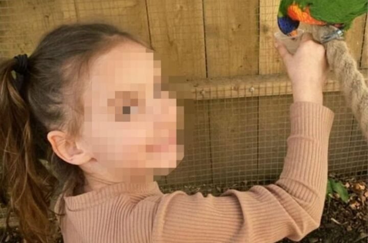 MUK U SUDNICI NAKON NJEGOVIH REČI! Isplivali novi detalji ubistva devojčice (9), javnost u šoku