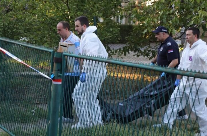 RADNIKA NA FARMI UBIO BIK! Jeziva tragedija kod Subotice