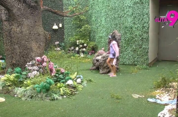 SVI NA PINK: Maja Marinković     upravo stiže u Rajski vrt! Vreme je da Drvetu mudrosti otkrije šta joj je na duši!