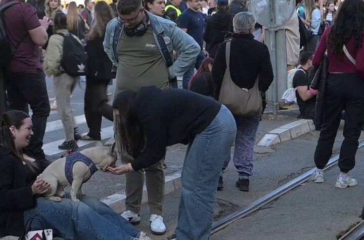 Seli pored lizalica, Palestina im je povod: Novi blokaderski debakl, neprijatno za gledanje