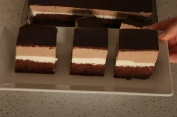 Zbog ova dva sastojka poslastičarske ledene kocke su kremastije od domaćih: I ukusnije nego ikad