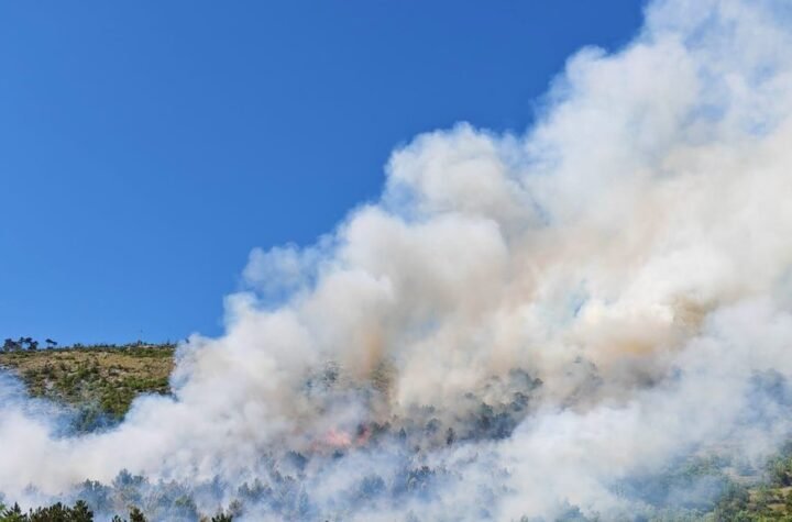 Borba sa vatrenom stihijom kod Trebinja: Ugrožene su kuće!