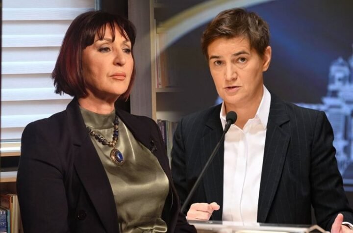"ČUJEM DA SPREMA TUŽBU I PROTIV REPREZENTACIJE FRANCUSKE": Ana Brnabić žestoko prozvala Jasminu Paunović (FOTO)