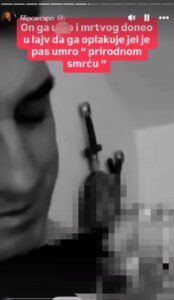 DRUŠTVO ZA ZAŠTITU ŽIVOTINJA REAGOVALO POVODOM MONSTRUOZNOSTI KRISTIJANA GOLUBOVIĆA: O nasilju nad nedužnim psom ODLUČUJU NADLEŽNI ORGANI!