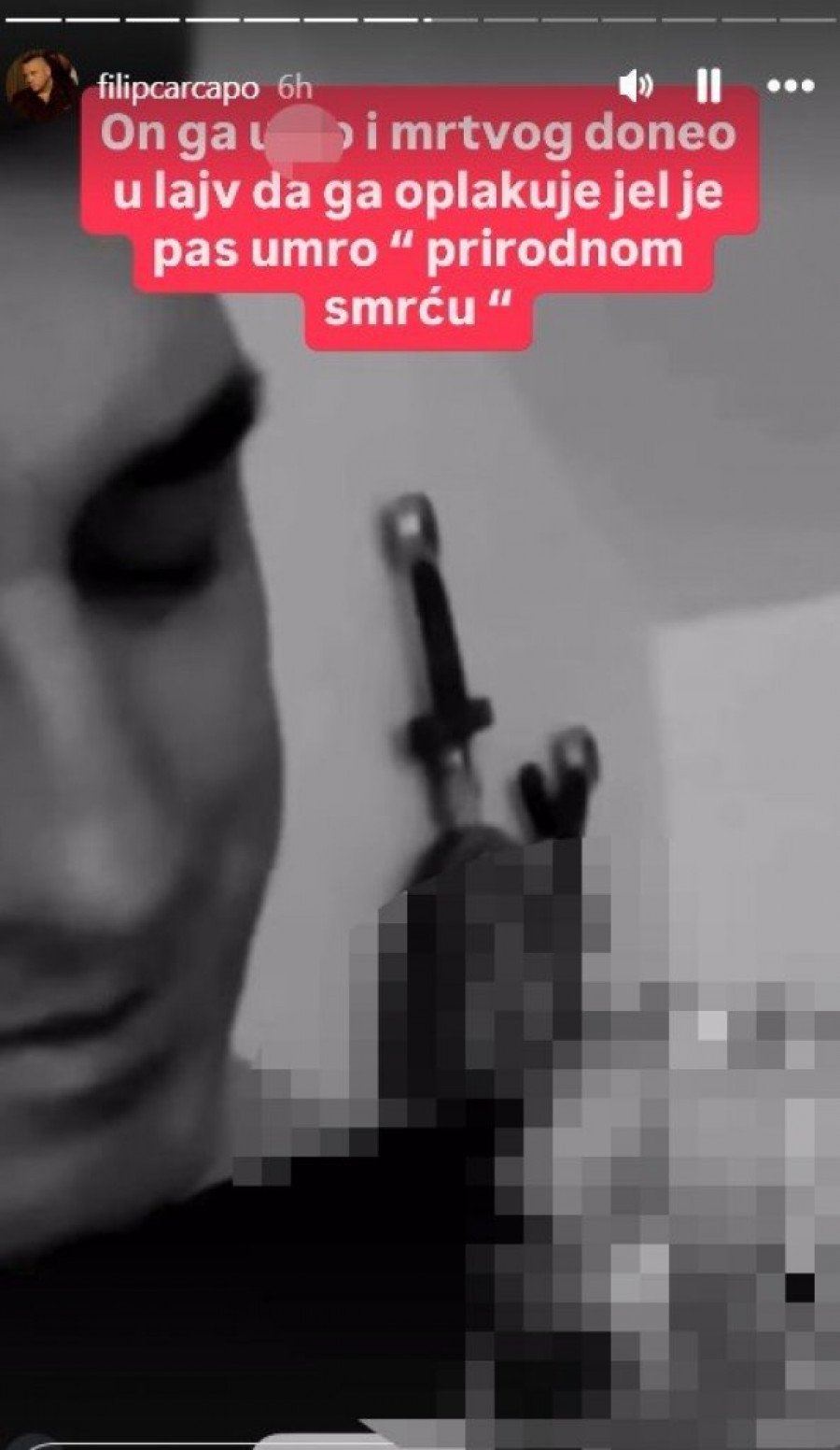 DRUŠTVO ZA ZAŠTITU ŽIVOTINJA REAGOVALO POVODOM MONSTRUOZNOSTI KRISTIJANA GOLUBOVIĆA: O nasilju nad nedužnim psom ODLUČUJU NADLEŽNI ORGANI!