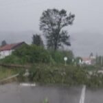 Drveće čupalo iz korena! Nevreme opustošilo ovaj grad u Srbiji! Snimci su zastrašujući