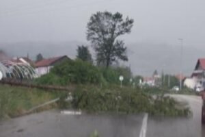 Drveće čupalo iz korena! Nevreme opustošilo ovaj grad u Srbiji! Snimci su zastrašujući