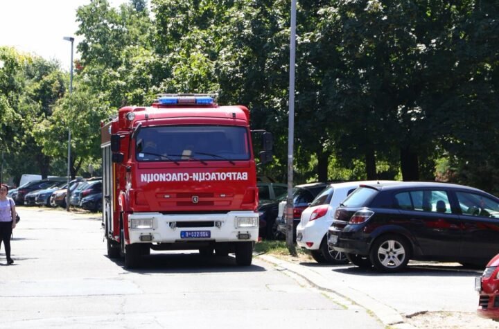 Gori šuma kod Zrenjanina!