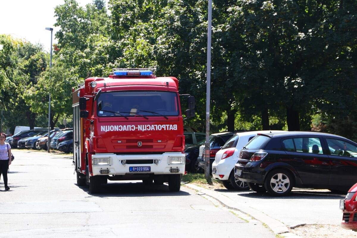 Gori šuma kod Zrenjanina!