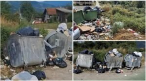 HITNA REAKCIJA MINISTARSTVA ZA ZAŠTITU ŽIVOTNE SREDINE Inspektori reagovali po prijavi na portalu 'Ko si bre ti?', Otpad u naselju Jabuka će biti uklo