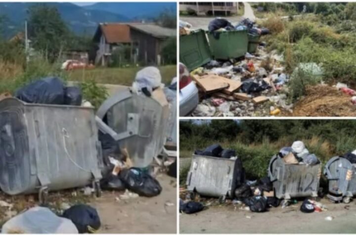 HITNA REAKCIJA MINISTARSTVA ZA ZAŠTITU ŽIVOTNE SREDINE Inspektori reagovali po prijavi na portalu 'Ko si bre ti?', Otpad u naselju Jabuka će biti uklo