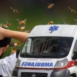 KOBNA GREŠKA POSLE UBODA OSE ILI PČELE: Ova reakcija može biti fatalna za samo 15 minuta!