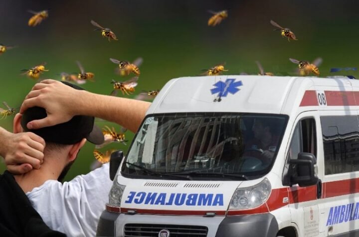 KOBNA GREŠKA POSLE UBODA OSE ILI PČELE: Ova reakcija može biti fatalna za samo 15 minuta!