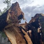 MUP SE OGLASIO ZBOG NEVREMENA U ZEMLJI: Svi su u stanju pripravnosti, EVO ŠTA NAS ČEKA