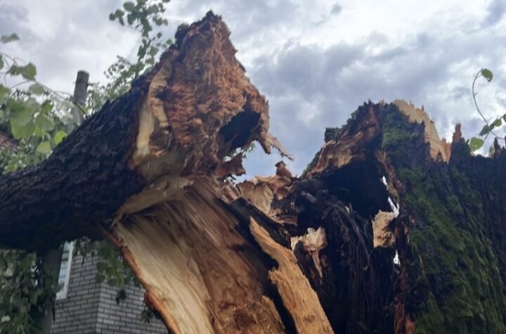 MUP SE OGLASIO ZBOG NEVREMENA U ZEMLJI: Svi su u stanju pripravnosti, EVO ŠTA NAS ČEKA