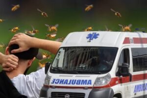 MUŠKARCA IZUJEDAO ROJ OSA, PREMINUO U BOLNICI! Horor u Beogradu!