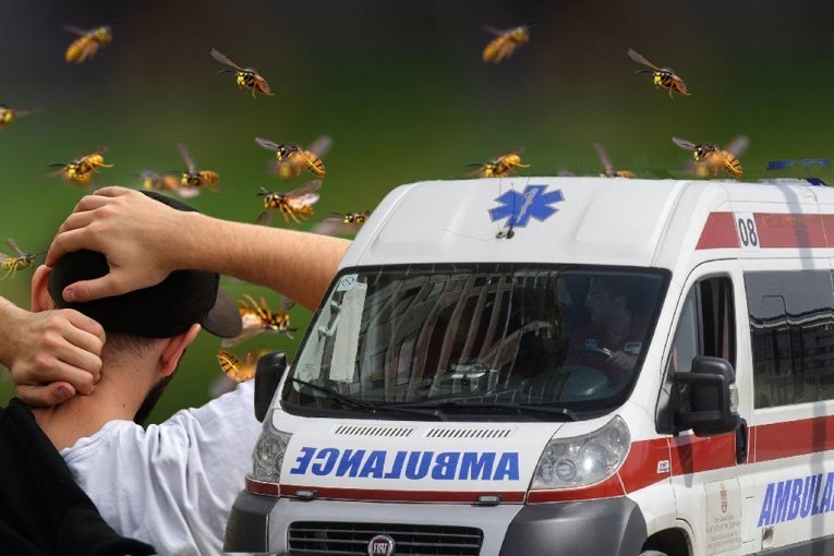MUŠKARCA IZUJEDAO ROJ OSA, PREMINUO U BOLNICI! Horor u Beogradu!