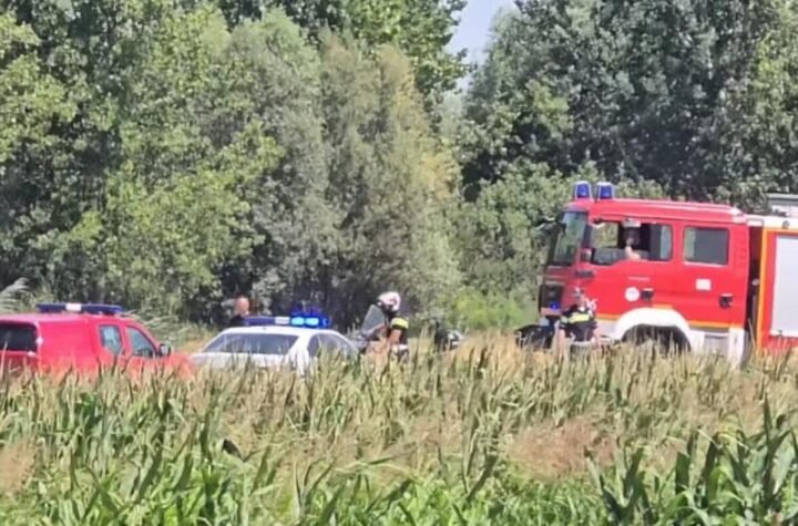 Prve slike strašne nesreće u Novom Sadu: Vatrogasci iz vode izvlače auto, poginule tri osobe, prizor je jeziv! FOTO