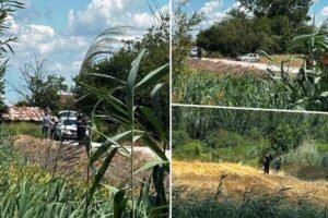 Ronioci Žandarmerije pretražuju kanal u Novom Sadu: Strahuje se da postoji još jedna žrtva stravične nesreće