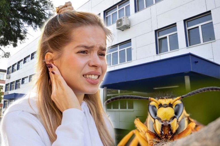 TEŠKA DRAMA U LOZNICI! Devojčicu ubo stršljen, jedva živa ostala - TRI PUTA JOJ TOKOM NOĆI LEKARI SPASAVALI ŽIVOT, JOŠ U BOLNICI!