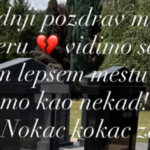 Vesti