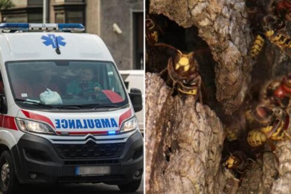 Ženu u kosu ušlo! Srpkinja opisala kako je jedva živu glavu sačuvala: "Svuda su me izujedale"