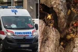 Ženu u kosu ušlo! Srpkinja opisala kako je jedva živu glavu sačuvala: "Svuda su me izujedale"