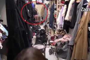 BIVŠU ZADRUGARKU DEČKO UMLATIO OD BATINA, pa joj uzeo novac: Ona nakon OPORAVKA smogla snage i otkrila SVE POTRESNE DETALJE!