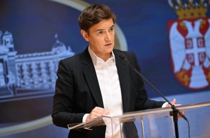 BRNABIĆ: Oni koji pokušavaju da spreče skup "Ujedinjena Srbija" pozivaju na građanske sukobe