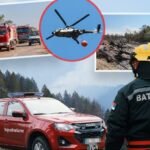 BUKTINJA GUTA SVE PRED SOBOM! Novi požar kod Kladova, vatra se širi u pravcu kuća