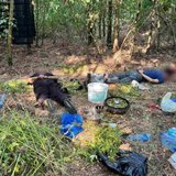 Delije napravile ludnicu na ulicama Beograda pred meč sa Viktorijom: Zvezdini navijači u nezaboravnom korteu
