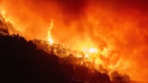 KRIVIČNA PRIJAVA ZBOG PODMETANJA POŽARA! Sumnja se da je muškarac (35) zapalio ŠUMU u Prijepolju