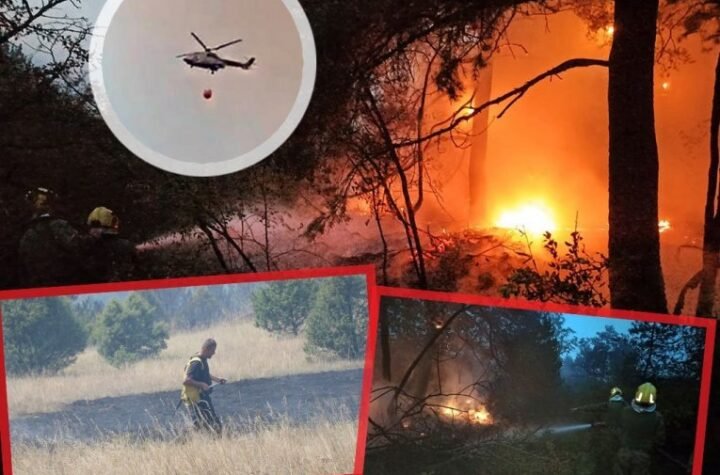 NAJNOVIJE INFORMACIJE O POŽARIMA U DELIBLATSKOJ PEŠČARI! Oglasio se Luka Čaušić!