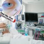 NEVIDLJIVI NEPRIJATELJ VREBA IZ VAZDUHA: DRAMATIČNI PODACI I UZBUNA ŠIROM BALKANA! Zapadni Nil steže obruć oko Srbije!