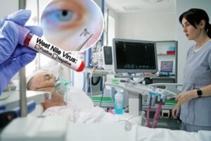 NEVIDLJIVI NEPRIJATELJ VREBA IZ VAZDUHA: DRAMATIČNI PODACI I UZBUNA ŠIROM BALKANA! Zapadni Nil steže obruć oko Srbije!