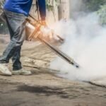 ODZVONILO IM JE: Gradska čistoća nastavlja akciju suzbijanja komaraca!