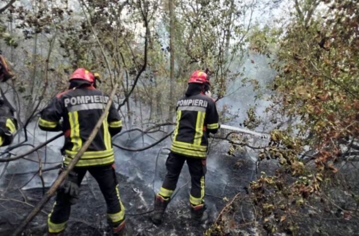 POPALJENI SVI ALARMI, RHMZ NIŽE UPOZORENJA Opasnost od širenja požara u Deliblatskoj peščari zbog jakog vetra