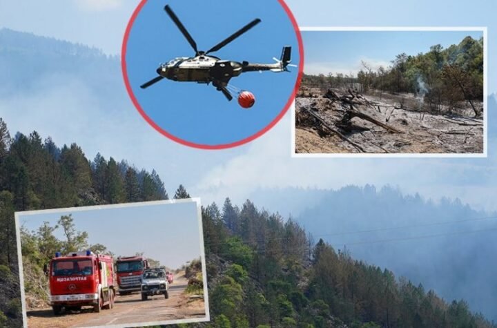 RUSKA RUKA SPASA: Požari divljaju po Srbiji, "Iljušin" danas kreće u GLAVNU MISIJU
