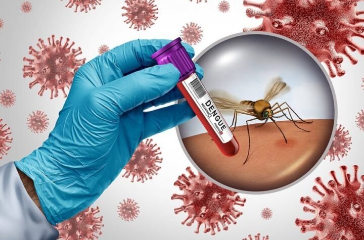 VIRUS ZAPADNOG NILA NASTAVLJA DA SE ŠIRI! Prvi slučaj potvrđen u komšiluku, muškarac (72) zaražen nakon ujeda komarca, završio u bolnici